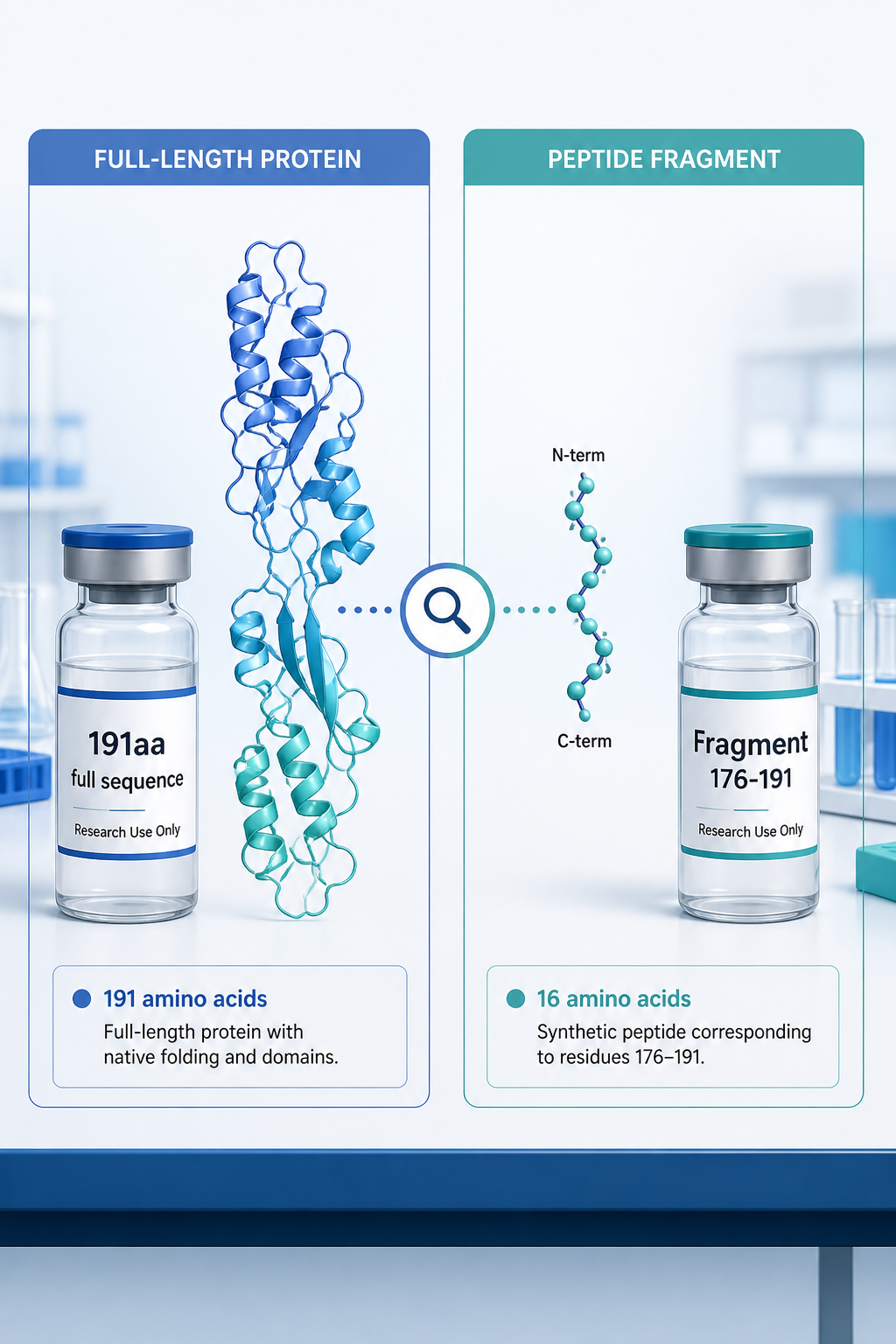 Where to Buy HGH 191aa in 2026: A Guide to Securing Premium Somatropin for Recovery